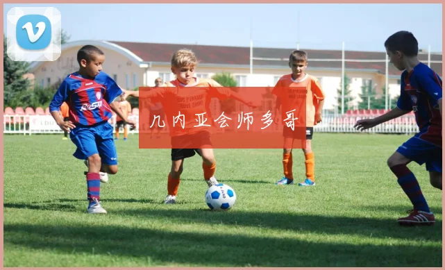 几内亚会师多哥