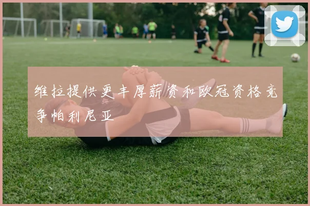 维拉提供更丰厚薪资和欧冠资格竞争帕利尼亚
